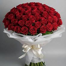 Букет 101 Красная роза Блэк Мэджик в Канаш