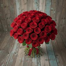 Букет 55 Красных роз Фридом #REPLACE_PRED# Канаш
