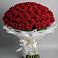 Букет 101 Красная роза Блэк Мэджик в Канаш