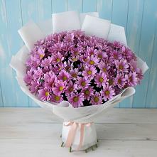 Букет цветов из:  Хризантемы в Канаш