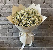 Букет цветов из:  Ромашки в Канаш