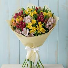 Букет цветов из:  Альстромерии в Канаш