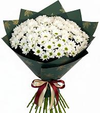 Букет цветов из:  Хризантемы #REPLACE_PRED# Канаш