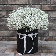 Цветочная композиция из Гипсофила в шляпной коробке в Канаш