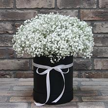 Цветочная композиция из Гипсофила в шляпной коробке в Канаш