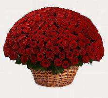 Премиум букет из: Розы в Канаш