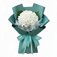 Букет цветов из:  Гортензия в Канаш